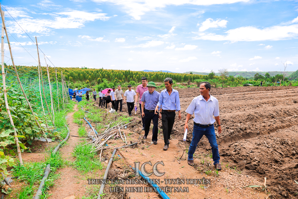 Sự kiện Quý II